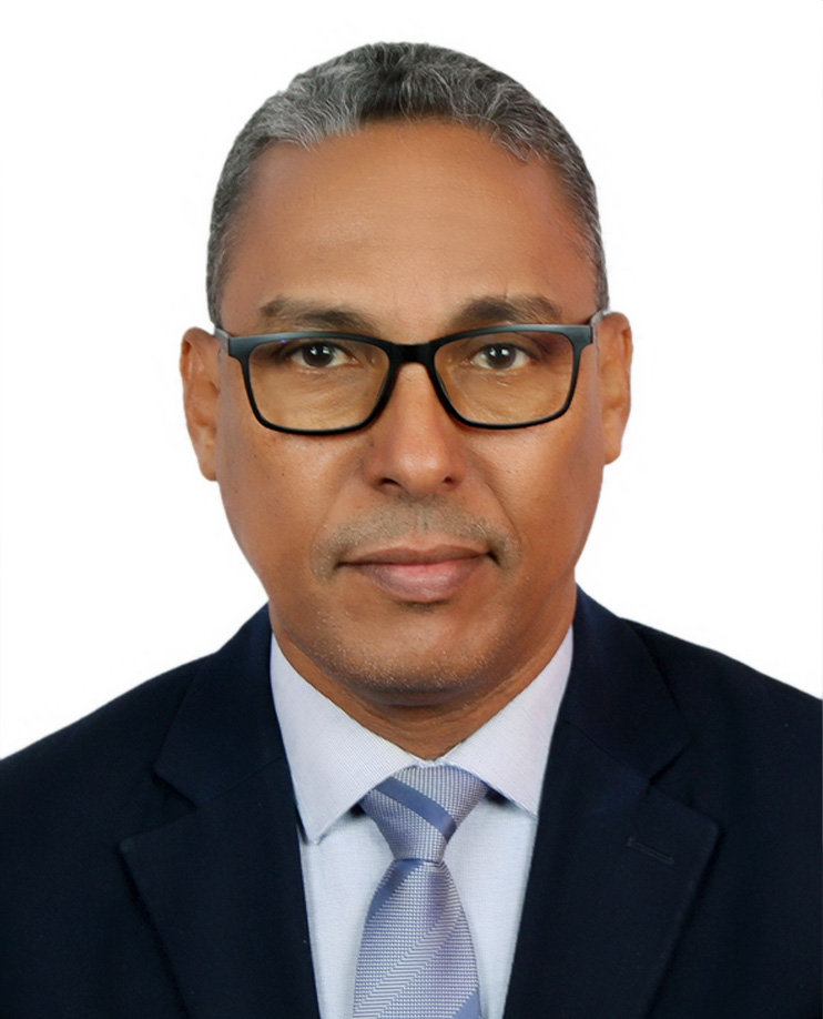 Mr Mohammed Ahmed Ould